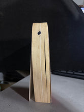 Load image into Gallery viewer, Connected by Nicholas A. Christakis I 2S