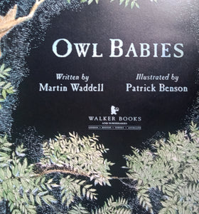 Owl  Babies By:Martin Waddle