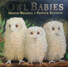 Load image into Gallery viewer, Owl  Babies By:Martin Waddle