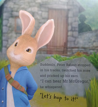 Load image into Gallery viewer, Peter Rabbit Mystery Thief