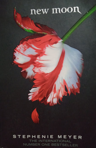 New moon By Stephen Meyer