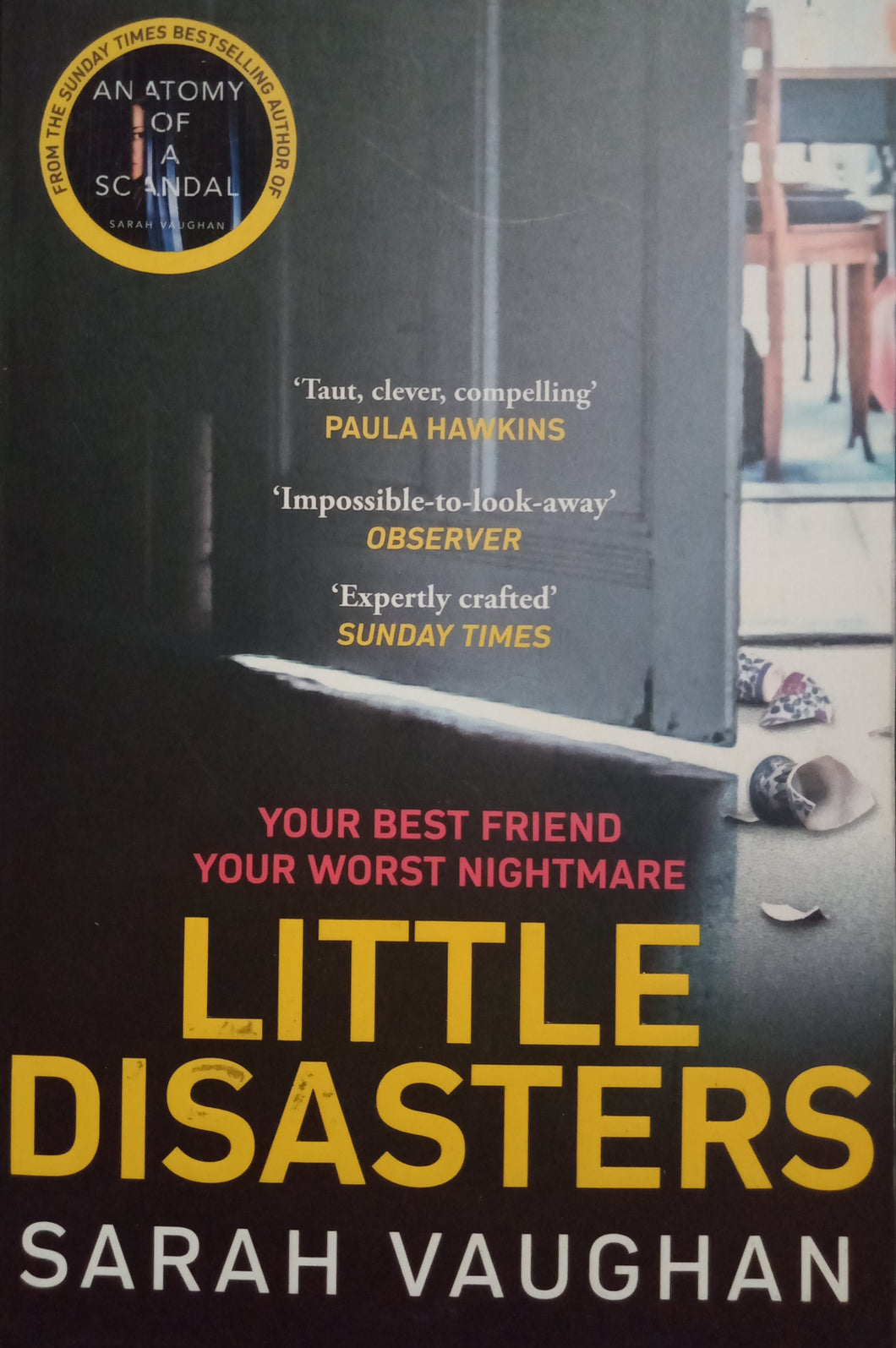 Little Disasters By Sarah Vaughan