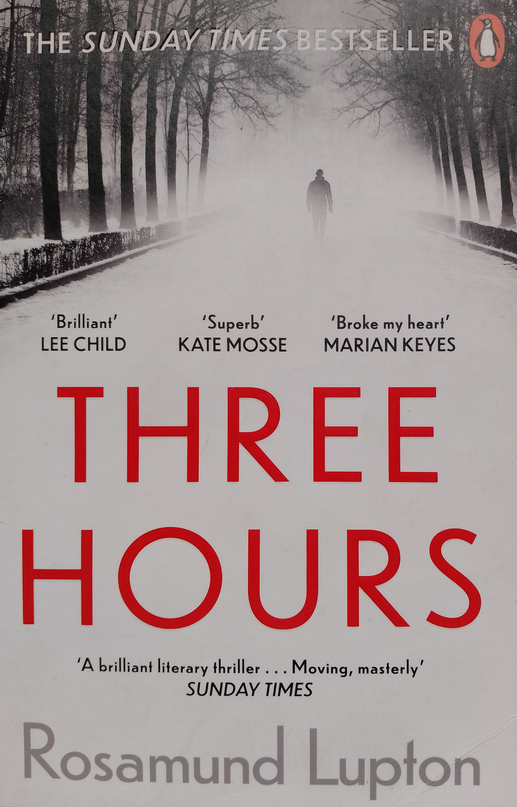 Three Hours by Rosamund Lupton