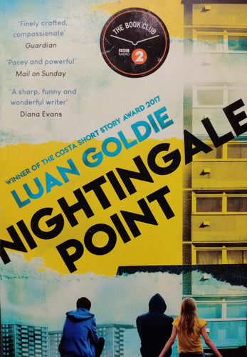 Nightingale Point by Luan Goldie