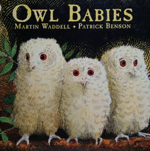 Load image into Gallery viewer, Owl Babies by Martin Waddell