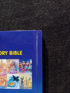 The Barnabas 365 Story Bible