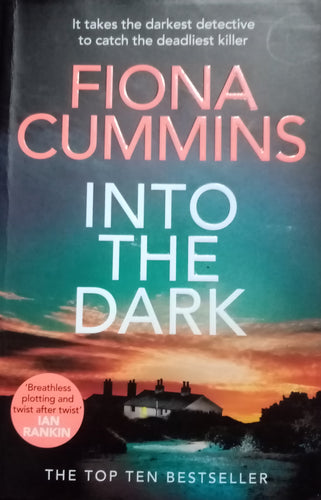 Into The Dark by Fiona Cummins