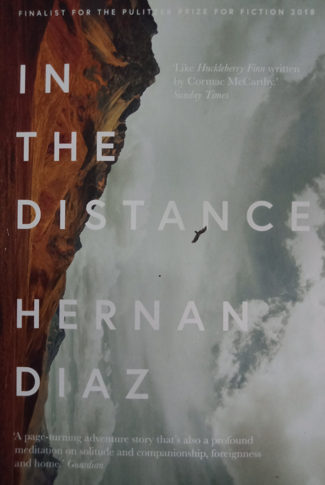 In The Distance by Hernan Diaz