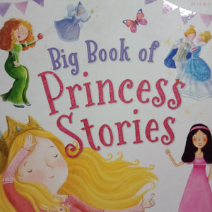 Big Book Of Princess Stories