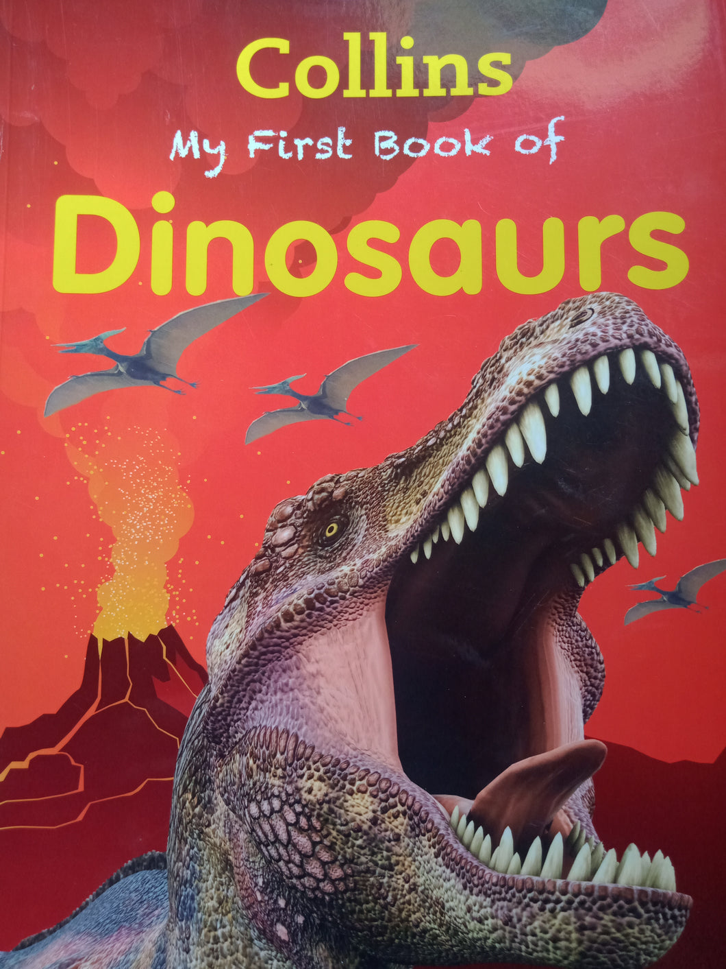 Collins My First Book Of Dinosaurs