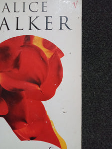 Possessing The Secret Of Joy by Alice Walker