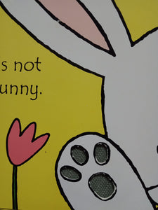 That's Not My Bunny by Fiona Watt