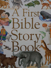 Load image into Gallery viewer, A First Bible Story Book by Julie Downing