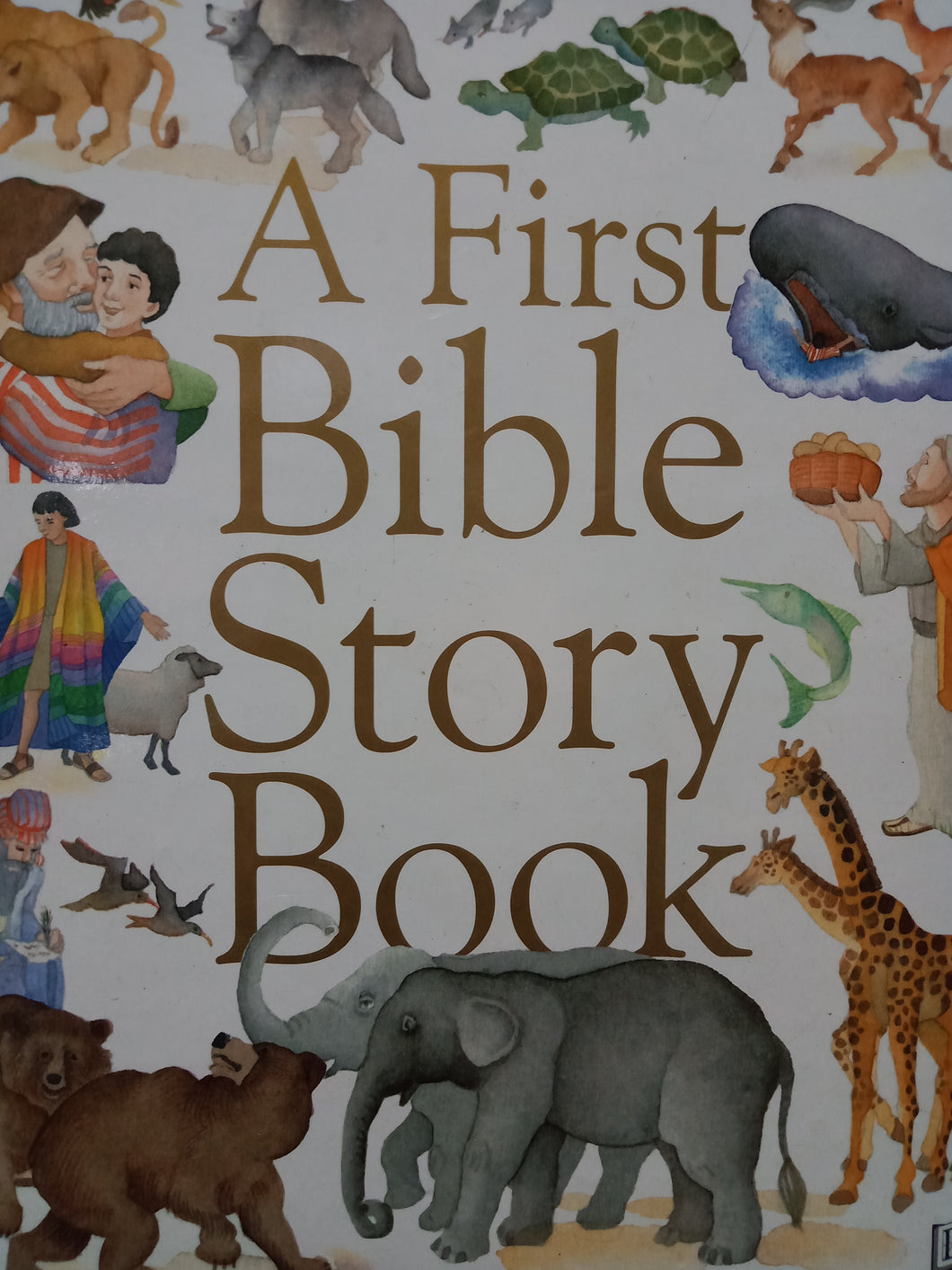 A First Bible Story Book by Julie Downing