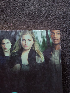 The 100 by Kass Morgan