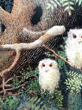 Load image into Gallery viewer, Owl Babies by Martin Waddell