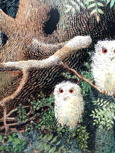 Owl Babies by Martin Waddell