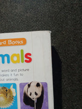 Load image into Gallery viewer, First Board Books Animals