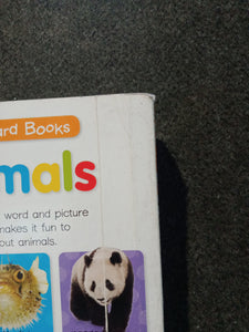 First Board Books Animals