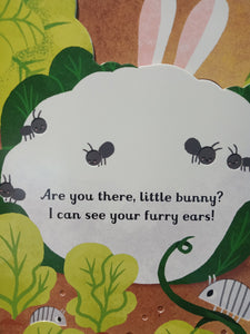 Are You There Little Bunny