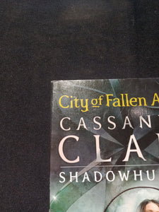 City Of Fallen Angels by Cassandra Clare