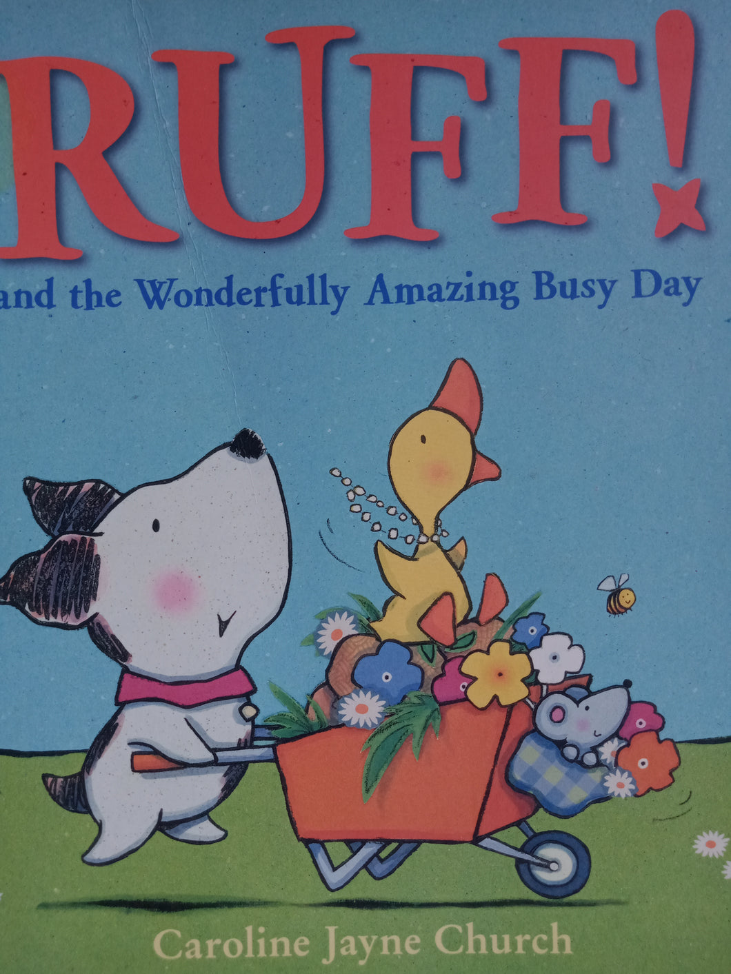 Ruff And The Wonderfully Amazing Busy Day
