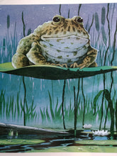 Load image into Gallery viewer, Tuesday by David Wiesner