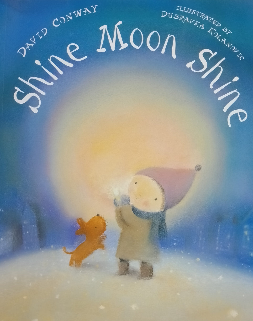 Shine Moon Shine by David Conway