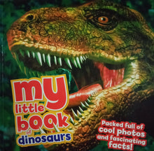 Load image into Gallery viewer, My Little Book Of Dinosaur