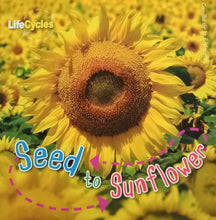 Load image into Gallery viewer, Seed to Sunflower by Camilla de la Bédoyéré