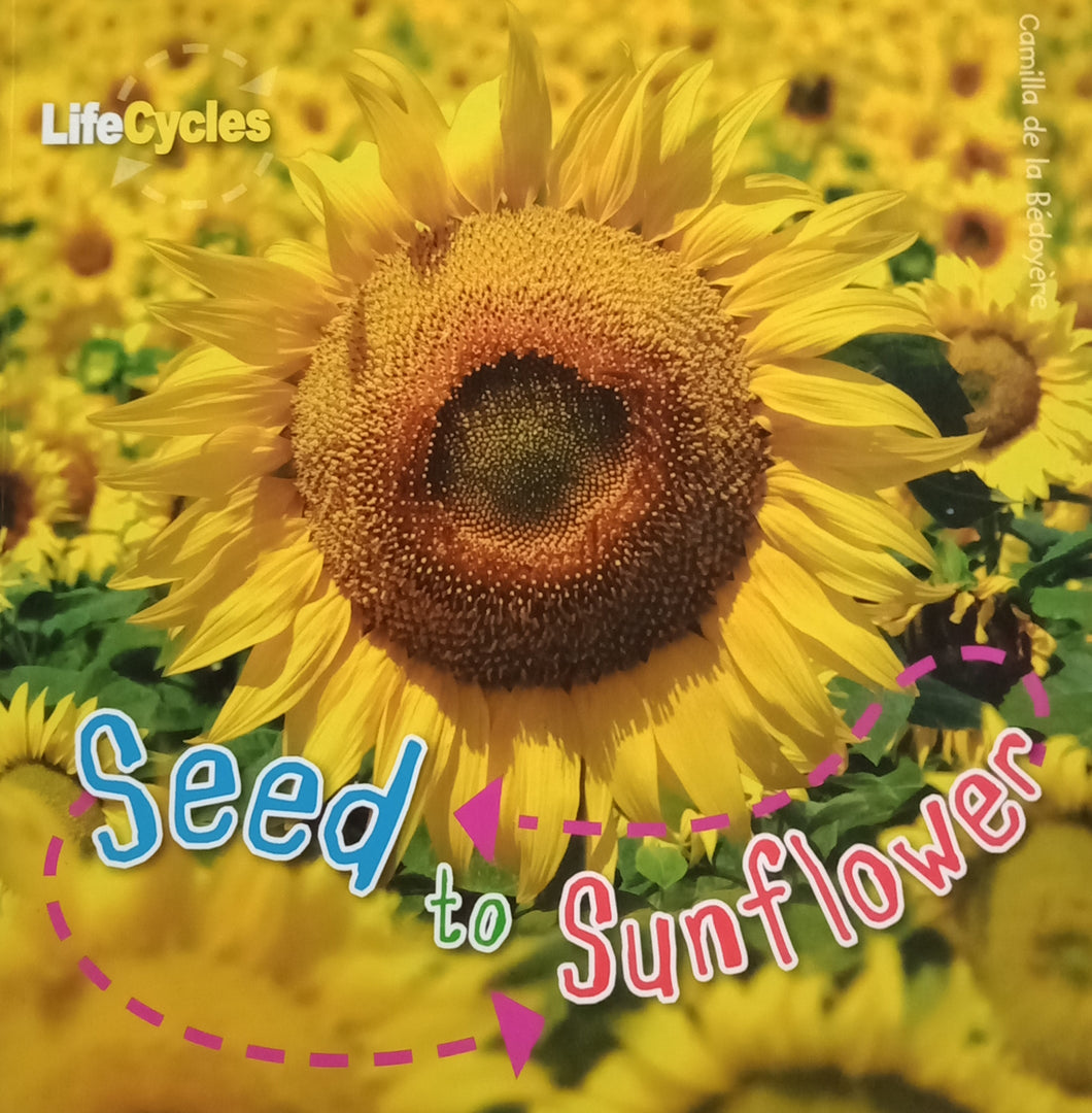 Seed to Sunflower by Camilla de la Bédoyéré