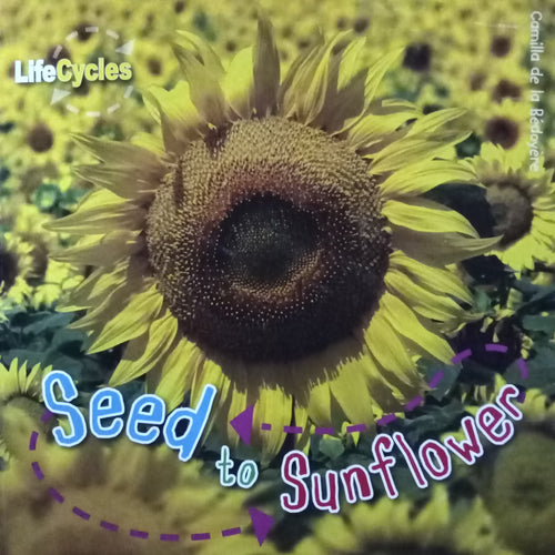 Seeds to Sunflower by Camilla De La Bedoyere