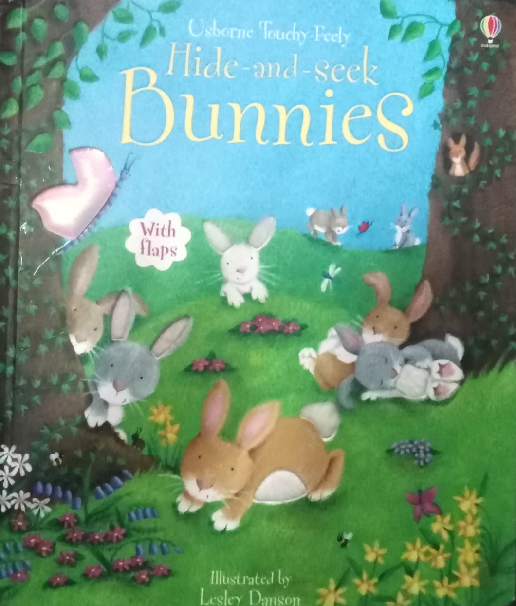Hide and Seek Bunnies by Lesley Danson