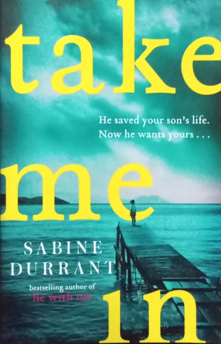 Take Me In by Sabine Durrant