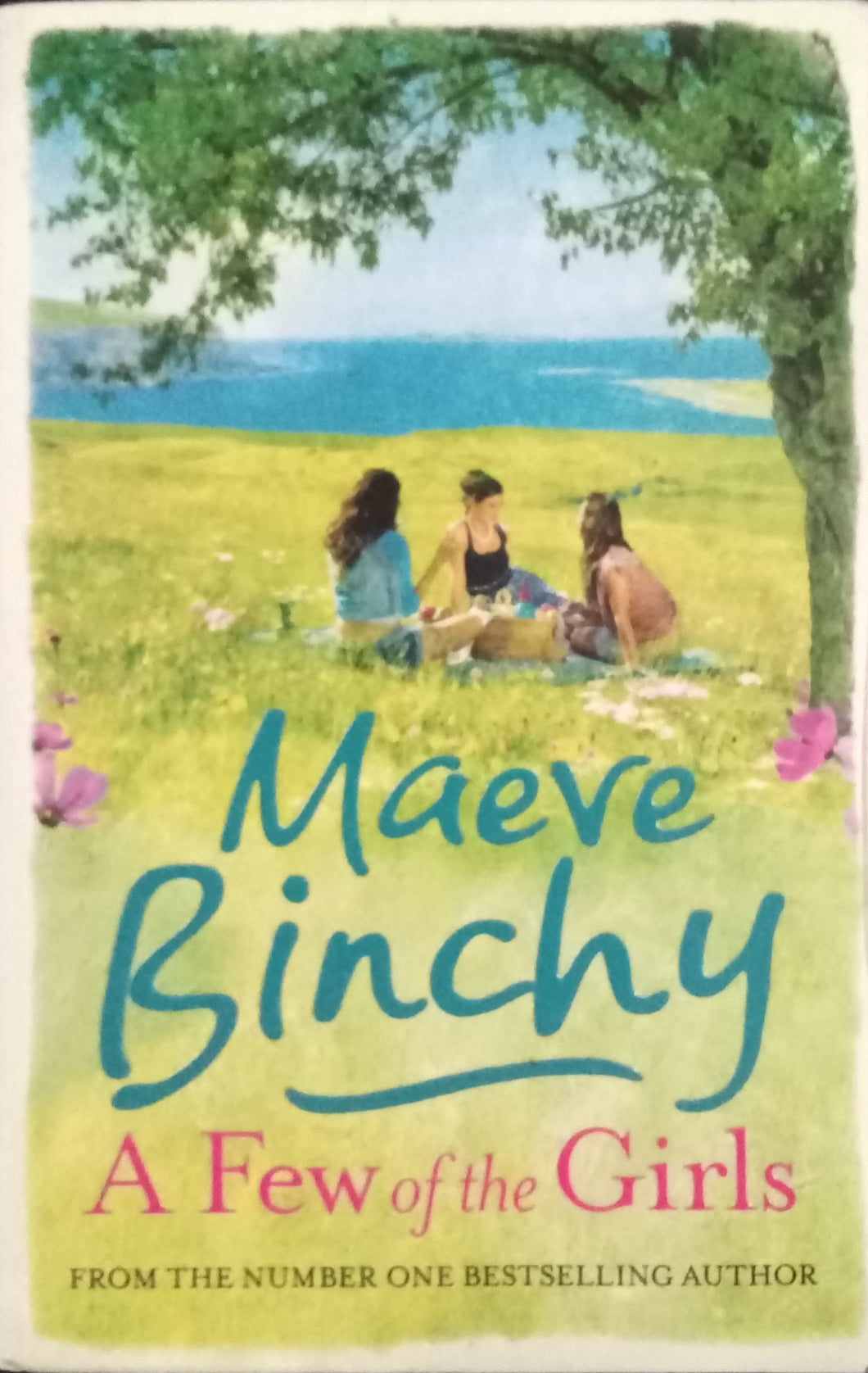 A Few Of The Girls By Maeve Binchy