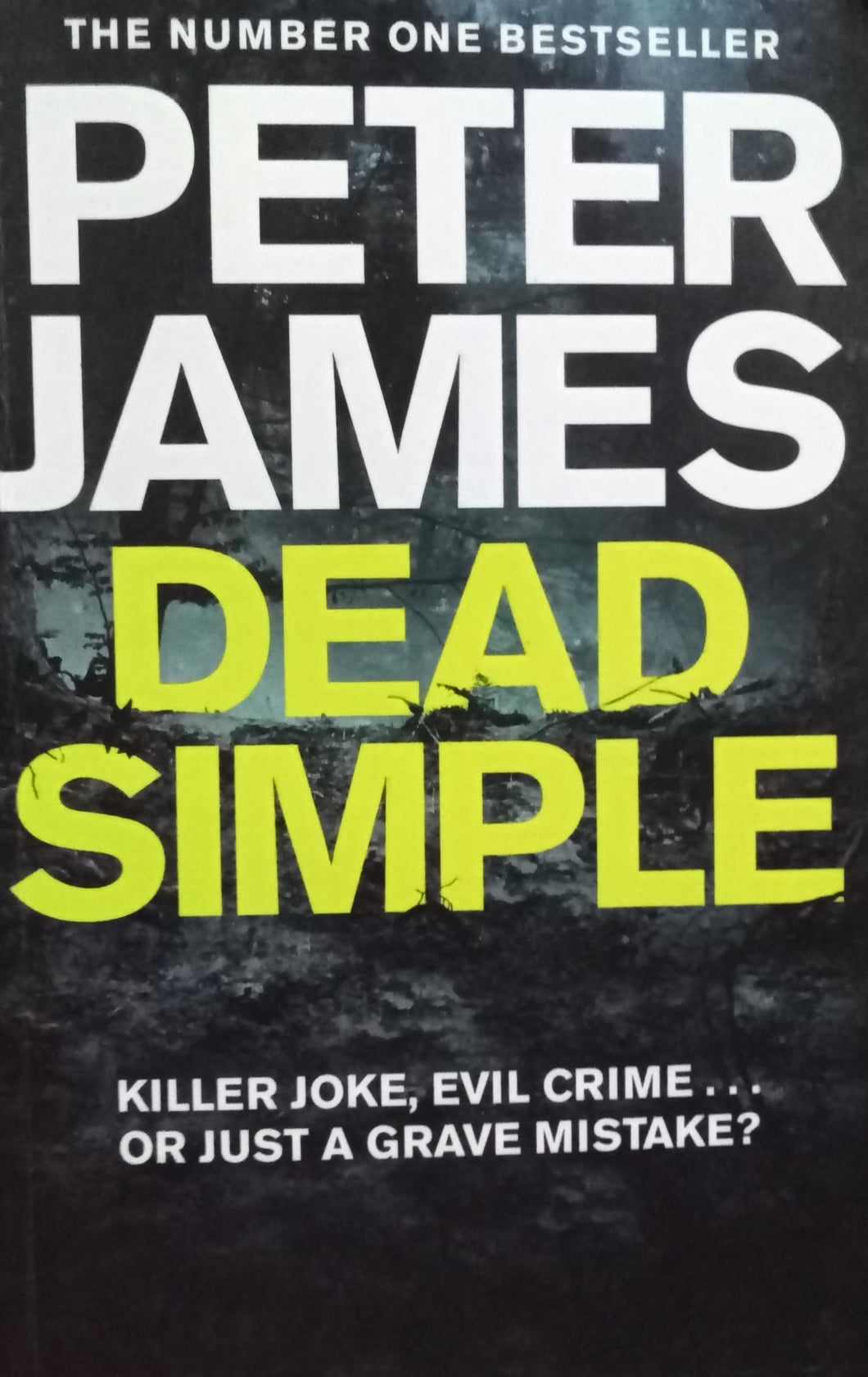 Dead Simple By Peter James