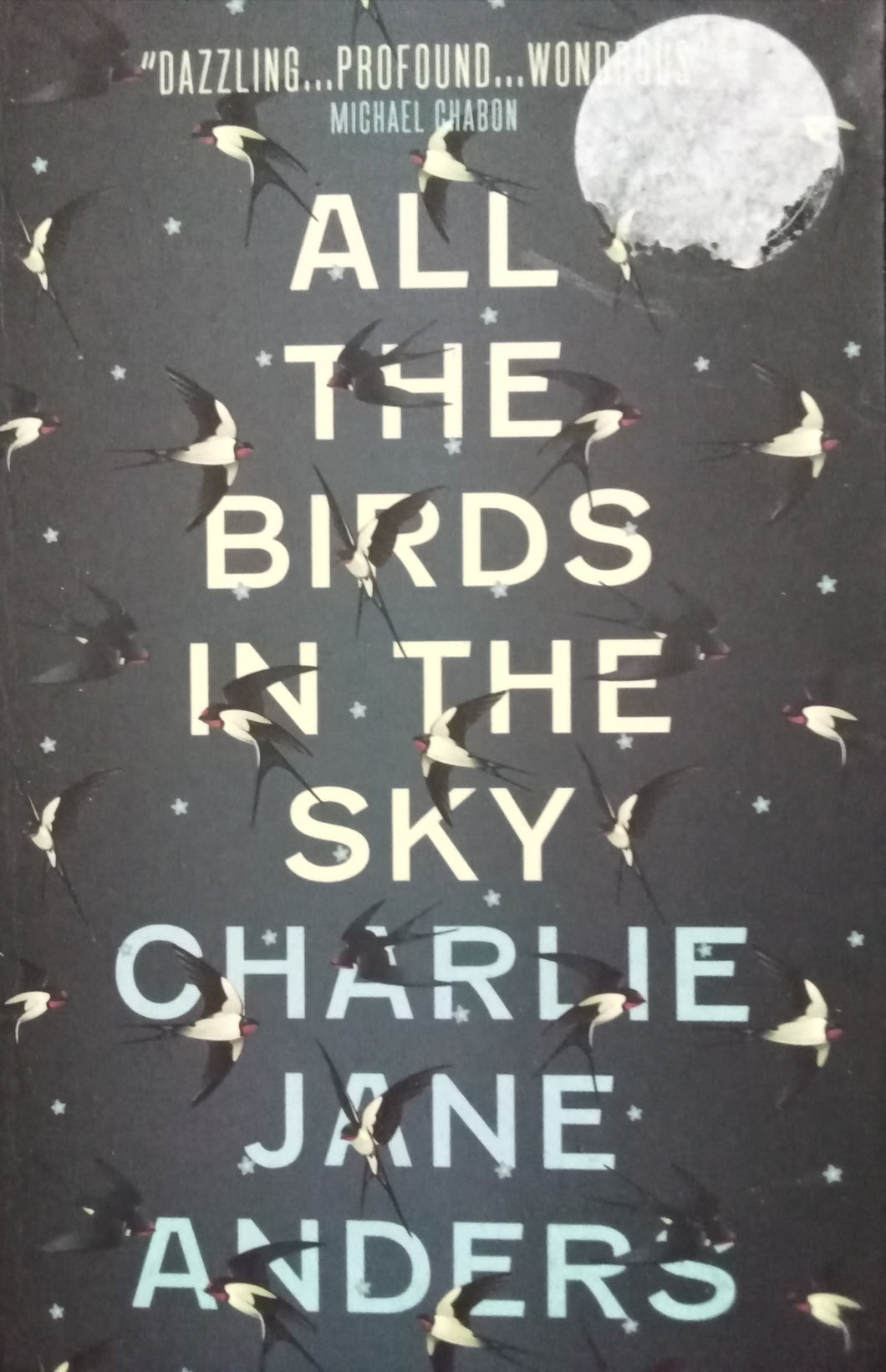 All the Birds in the Sky By Charlie Jane Anders 1