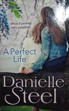 Load image into Gallery viewer, A perfect life By Danielle Steel