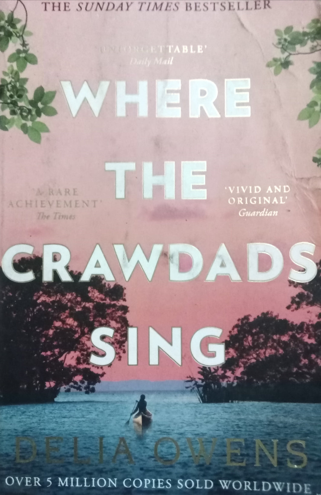 Where the Crawdads sing By Delia Owens