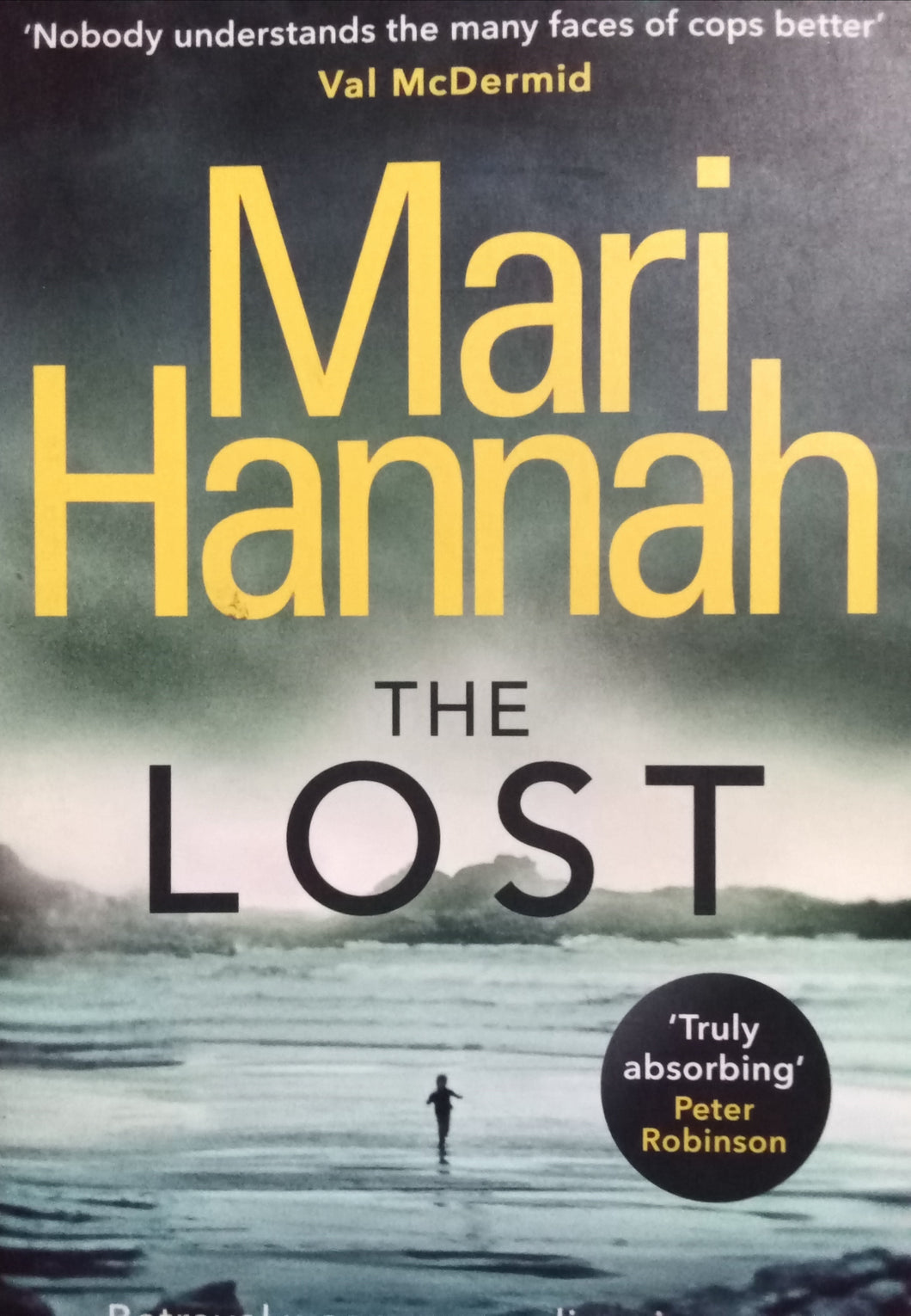 The Lost By Mari Hannah