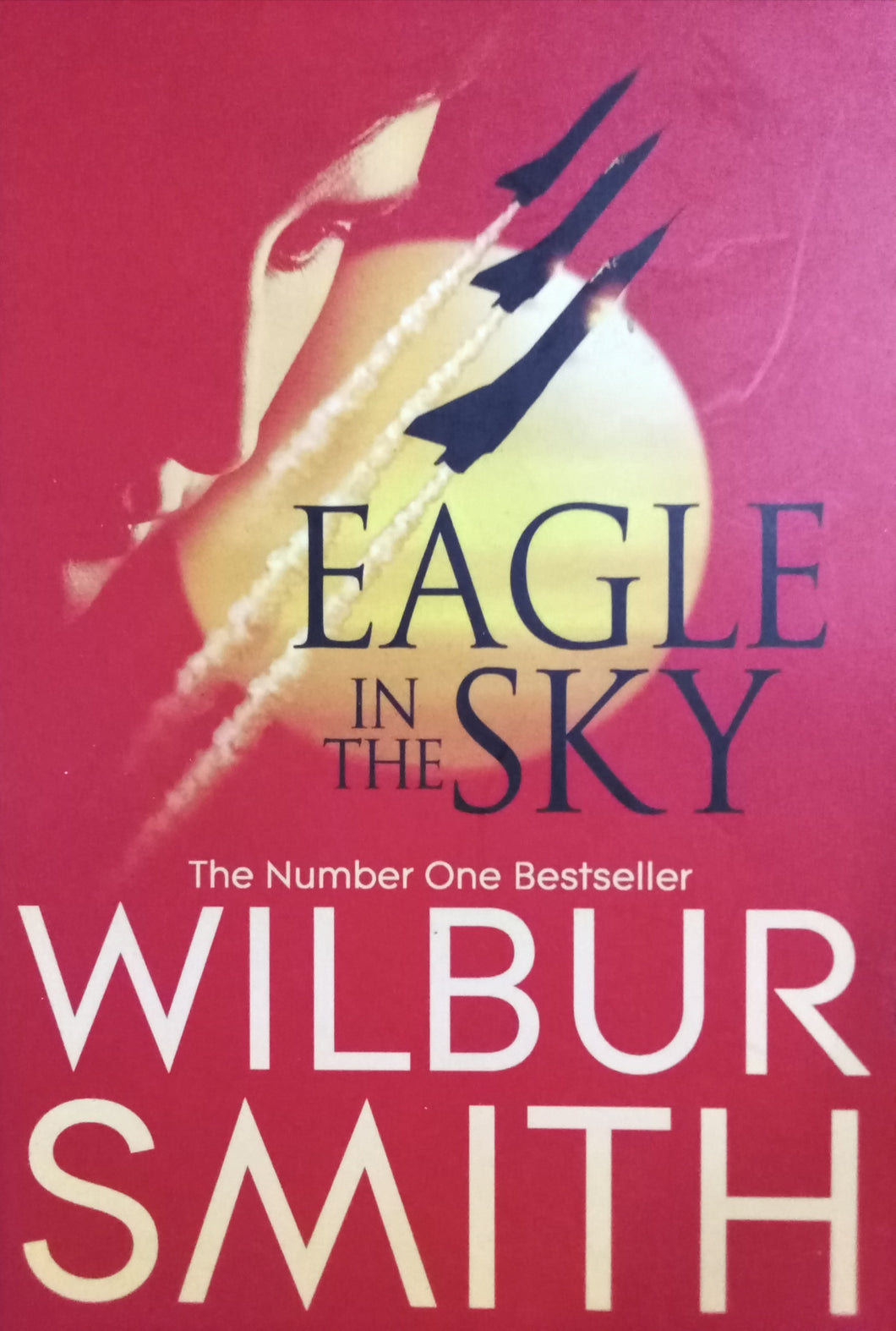 Eagle in the sky By Wilbur smith