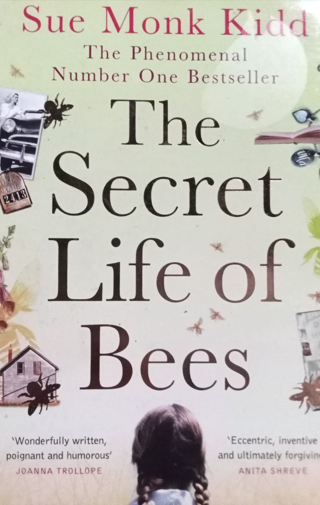 The secret life of bees by Sue Monk Kidd