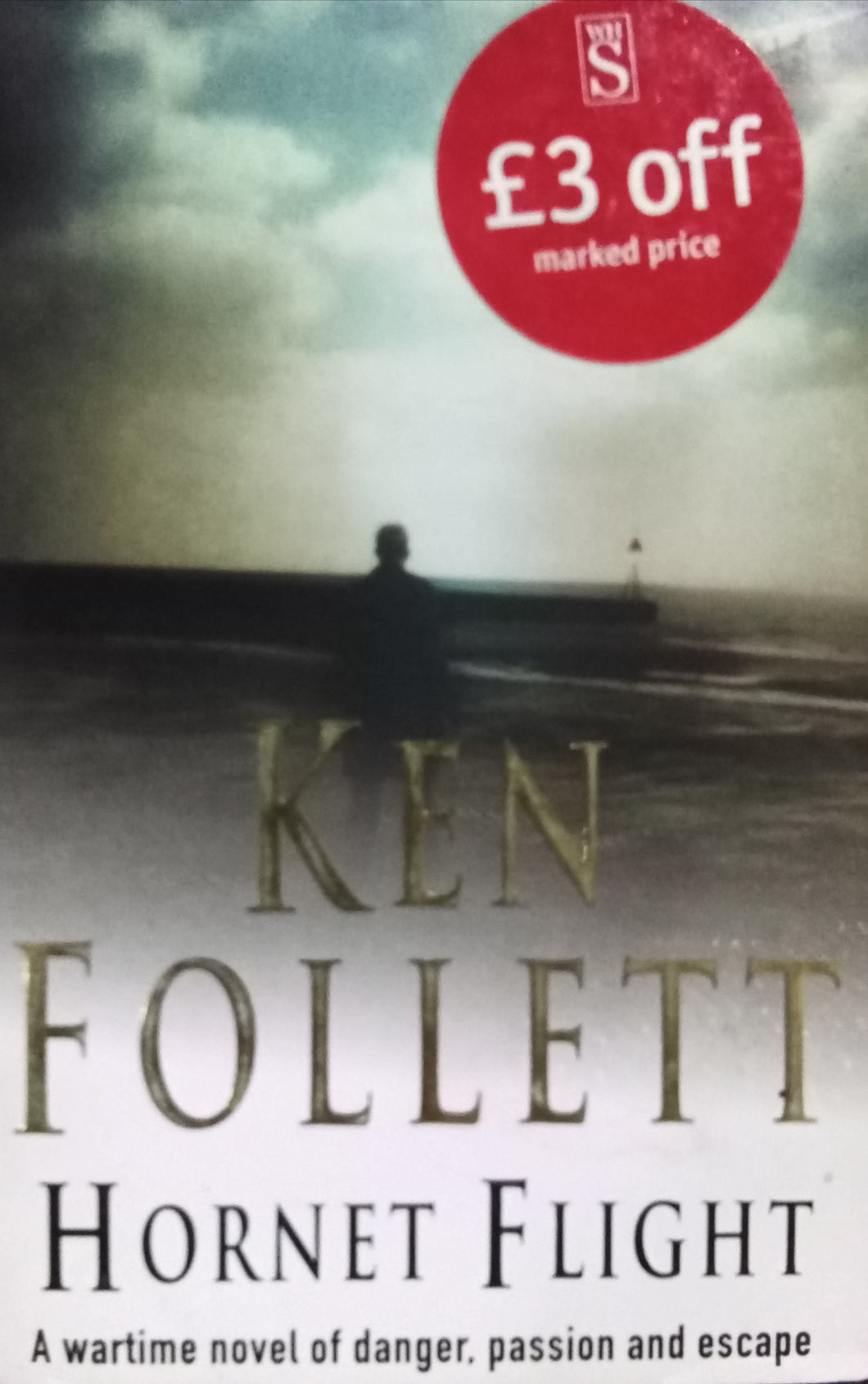 Hornet flight By Ken Follett