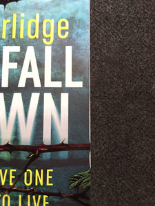 All Fall Down by M.J. Arlidge