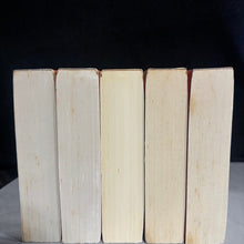 Load image into Gallery viewer, The Interestings by Meg Wolitzer I 88S