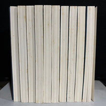 Load image into Gallery viewer, What We Lose by Zinzi Clemmons I 87S