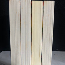 Load image into Gallery viewer, The Interestings by Meg Wolitzer I 88S