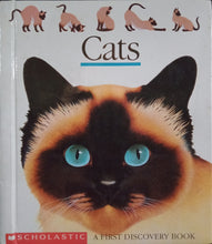 Load image into Gallery viewer, Cats - Books for Less Online Bookstore