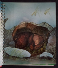 Load image into Gallery viewer, Bears - Books for Less Online Bookstore