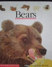 Load image into Gallery viewer, Bears - Books for Less Online Bookstore